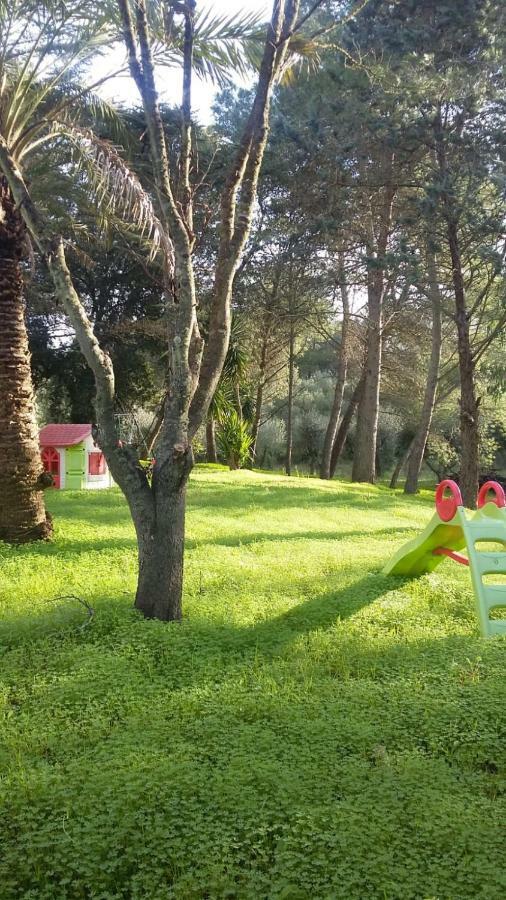 Апартаменты Casina Nel Salento Лечче Экстерьер фото